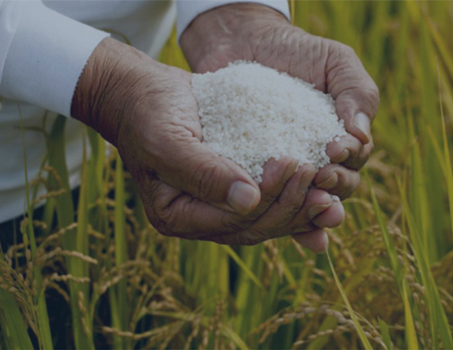 Enhanced Traditional Warehousing & PMS Services