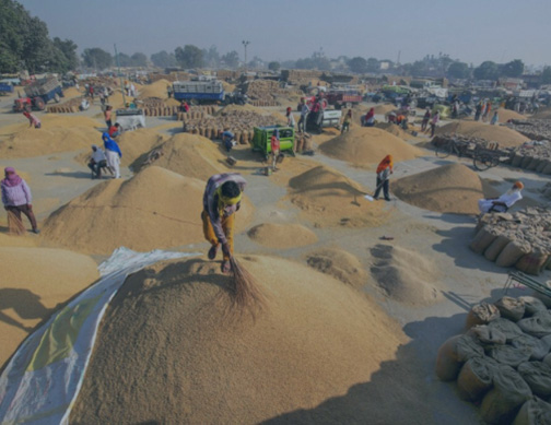 Enhanced Traditional Warehousing & PMS Services