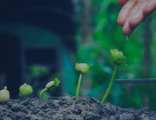 Enhanced Traditional Warehousing & PMS Services