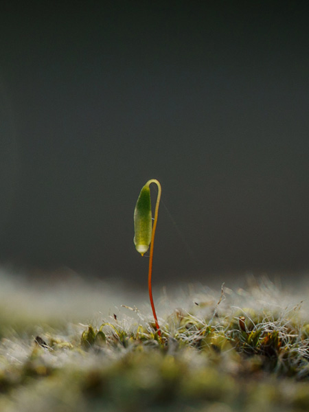 Sowing seeds of innovation in agriculture