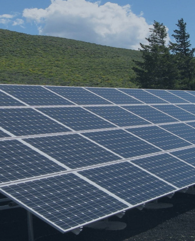 Environmental Conservation 