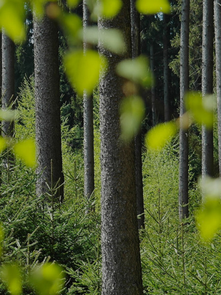 Sowing seeds of innovation in agriculture