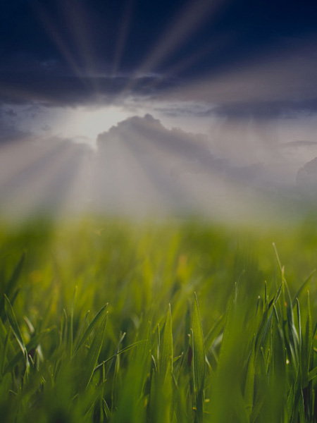 Grow Confidently, Store Securely