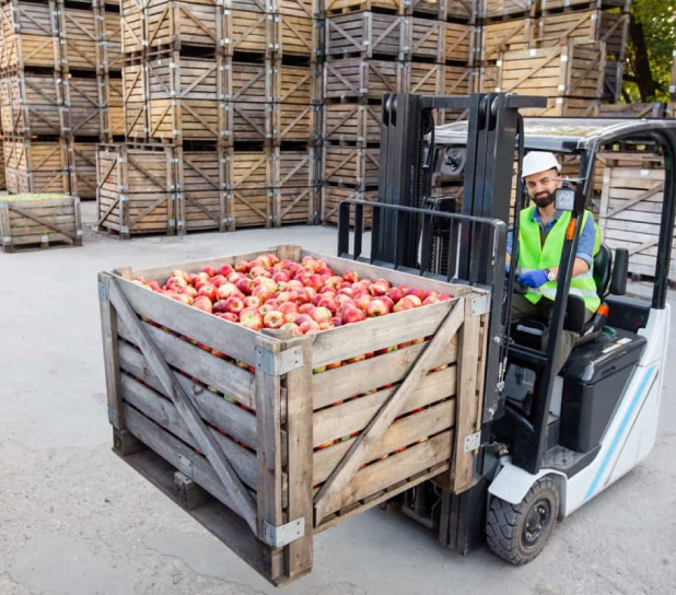 Grain Storage & Handling