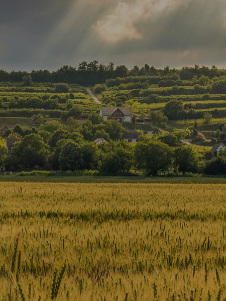 Offering a Comprehensive Post-Harvest Ecosystem Solution