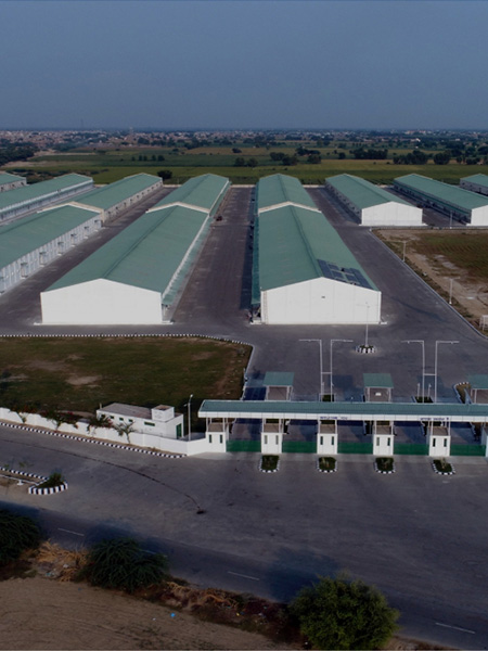 Harvesting Trust, Storing Value