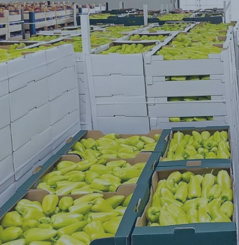 Station Operation & Administration